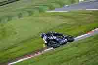 Evening Adv_Mid Group Black Bikes